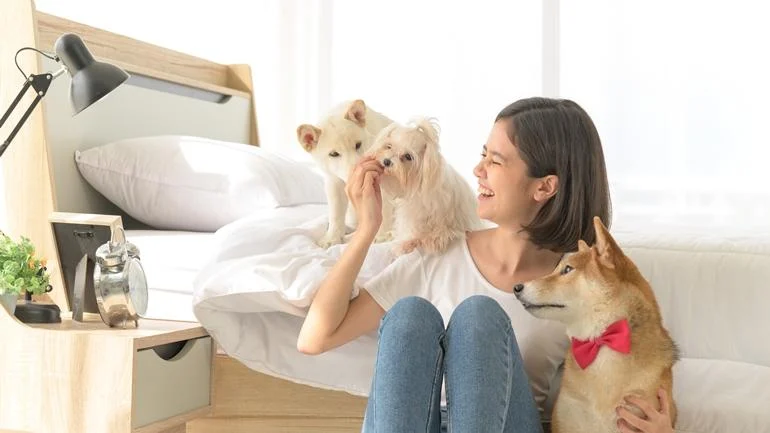 6 สัตว์เลี้ยงชาวคอนโด