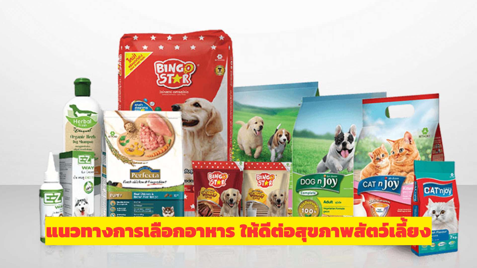 แนวทางการเลือกอาหาร ให้ดีต่อสุขภาพสัตว์เลี้ยง