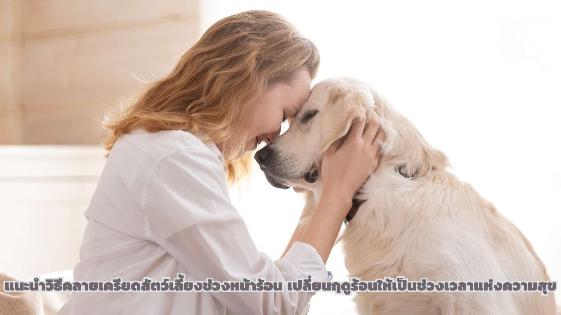 แนะนำวิธีคลายเครียดสัตว์เลี้ยงช่วงหน้าร้อน เปลี่ยนฤดูร้อนให้เป็นช่วงเวลาแห่งความสุข