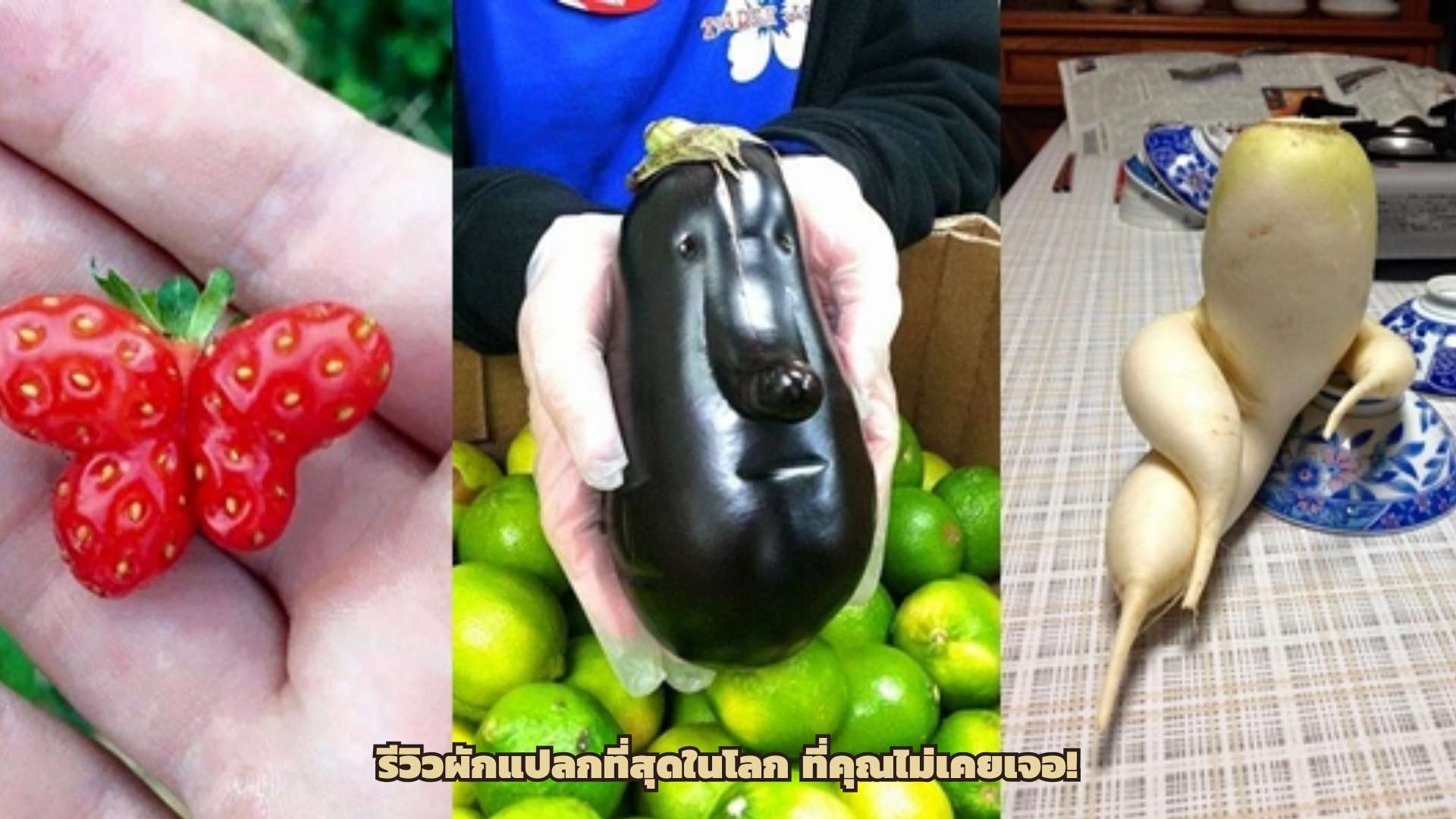 รีวิวผักแปลกที่สุดในโลก ที่คุณไม่เคยเจอ!
