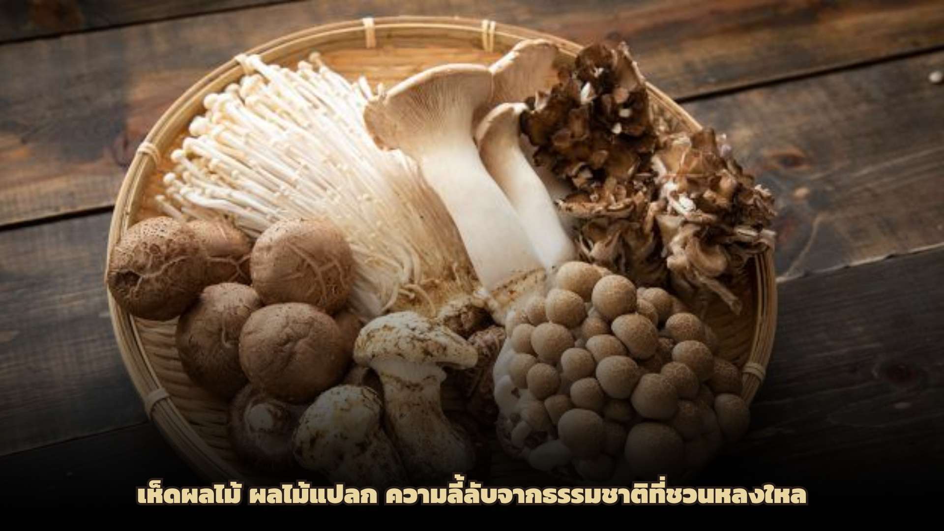 เห็ดผลไม้ ผลไม้แปลก ความลี้ลับจากธรรมชาติที่ชวนหลงใหล