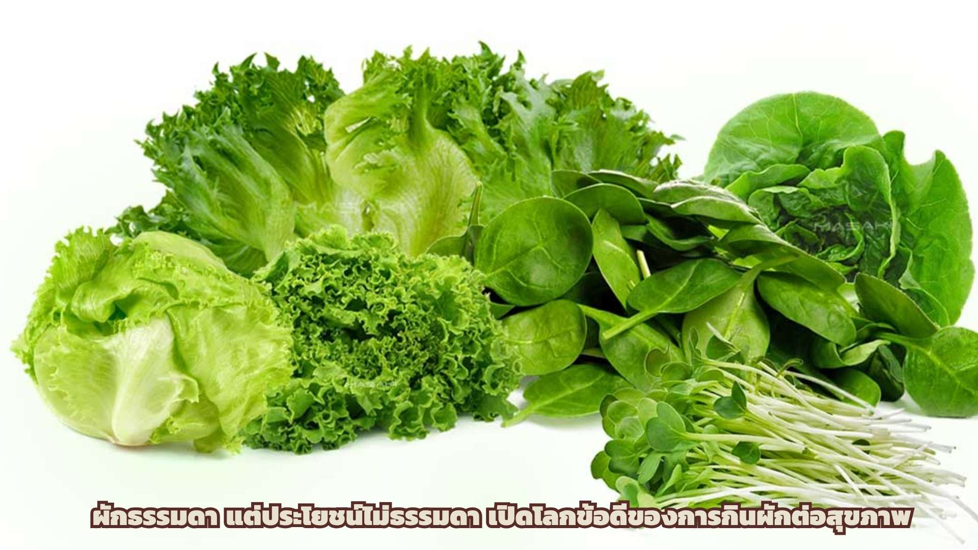 ผักธรรมดา แต่ประโยชน์ไม่ธรรมดา เปิดโลกข้อดีของการกินผักต่อสุขภาพ